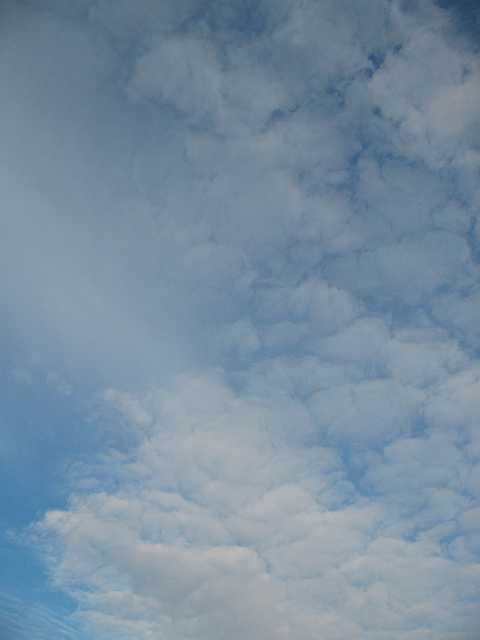 IMG_6382.jpg - Небо над Ладогой